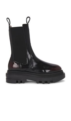 BOTTINES ALEX in . Size 36, 37, 38, 39, 40, 41 - ALLSAINTS - Modalova