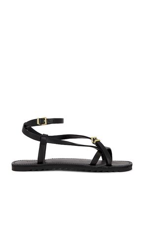 SANDALES TYLA en . Taille 36. Also en 39, 39.5 - ALLSAINTS - Modalova
