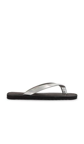 SANDALES SYDNEY in . Size 37, 38, 39, 40, 41 - ALLSAINTS - Modalova