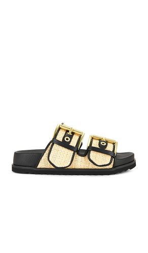 SANDALES EN RAPHIA SIAN en . Taille 37. Also en 38, 38.5, 39.5, 40, 41 - ALLSAINTS - Modalova