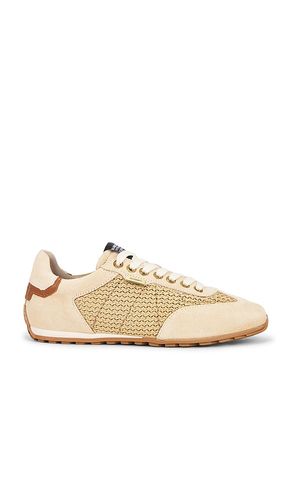Liam Low Top Sneaker in . Size 11. Also in 7, 8 - ALLSAINTS - Modalova