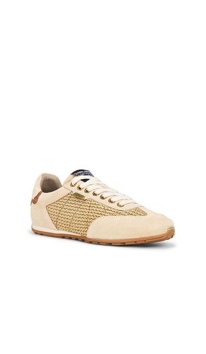 SNEAKERS LIAM LOW TOP en . Taille 7. Also en 8 - ALLSAINTS - Modalova