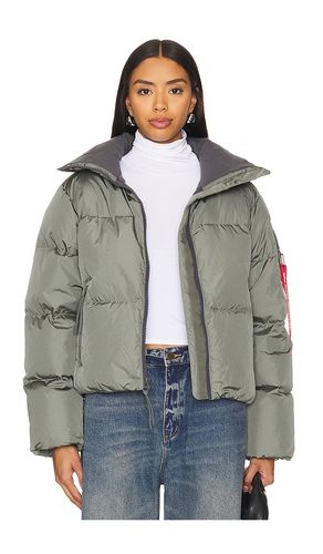 DOUDOUNE COURTE SIERRA in . Size M - ALPHA INDUSTRIES - Modalova