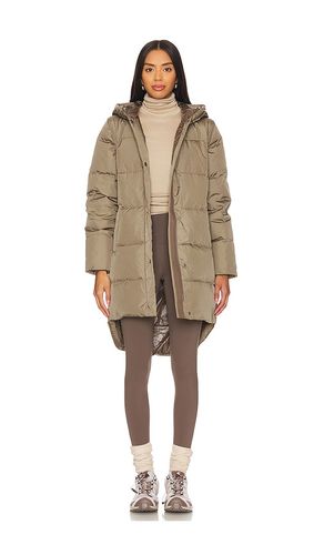 BLOUSON RÉVERSIBLE SIERRA in . Size XS - ALPHA INDUSTRIES - Modalova
