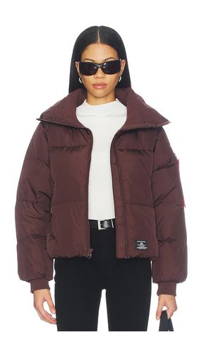 Sierra Short Puffer Jacket en . Taille XS. Also en S, M, L - ALPHA INDUSTRIES - Modalova