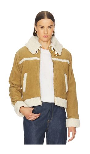 BLOUSON BETTY en . Taille L. Also en M, XS - AMO Denim - Modalova