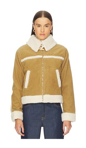 BLOUSON BETTY en . Taille L. Also en M, S - AMO Denim - Modalova