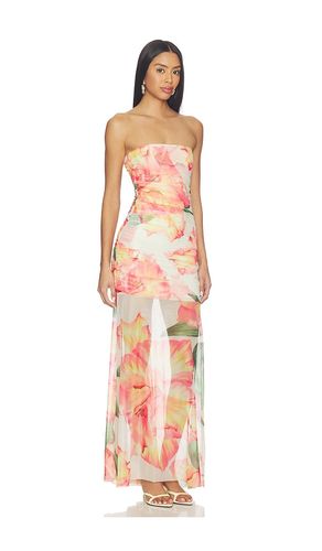 ROBE LEO en . Taille L. Also en M, S, XS - Amanda Uprichard - Modalova