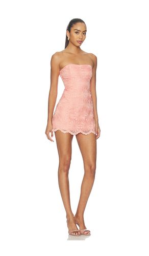 COMBISHORT DAISY en . Taille M. Also en - Amanda Uprichard - Modalova