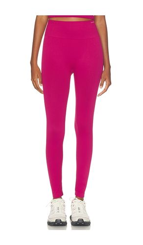 Classic Seamless Leggings en . Taille XS. Also en S, M, L, XL - Adanola - Modalova