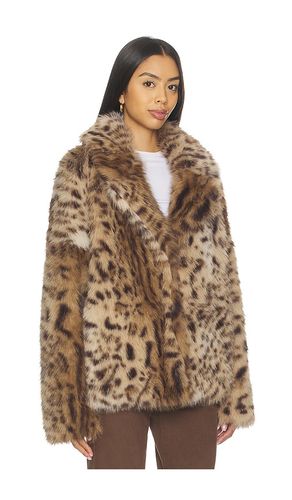 BLOUSON ROXETTE en . Taille M. Also en - Aniye By - Modalova
