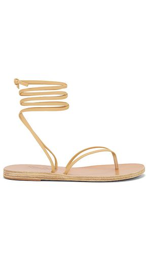 SANDALES CELIA in . Size 37 - Ancient Greek Sandals - Modalova