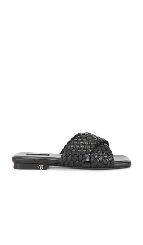 Ria Braided Slides en . Taille 36. Also en 37, 38 - ANINE BING - Modalova