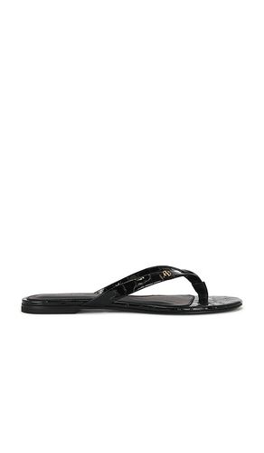 SANDALES NOELLE en . Taille 36. Also en - ANINE BING - Modalova
