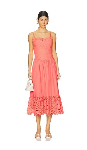 ROBE MI-LONGUE DRESS en . Taille L. Also en M, S, XL, XS - ASTR the Label - Modalova