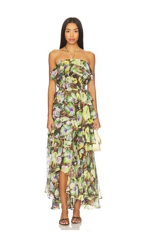 ROBE MAXI ELENA en . Taille L. Also en M, S, XS - ASTR the Label - Modalova