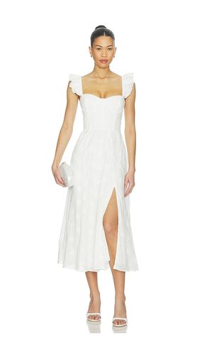 Wedelia Dress in . Size M. Also in S, XS - ASTR the Label - Modalova