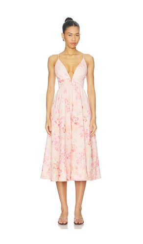 Janna Dress in . Size L. Also in M, S, XL, XS - ASTR the Label - Modalova