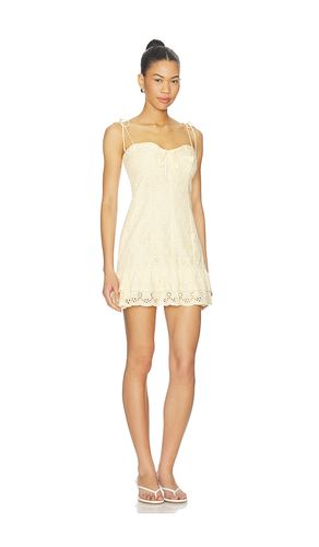 Kelley Dress in . Size L. Also in M, S, XL, XS - ASTR the Label - Modalova