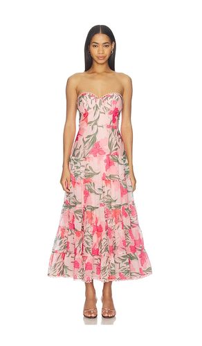 Lianna Dress in . Size L. Also in M, S, XS - ASTR the Label - Modalova