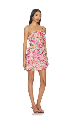 Blanca Dress in . Size L. Also in M, S, XS - ASTR the Label - Modalova