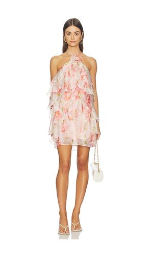 Ofra Dress in . Size L. Also in M, S, XL, XS - ASTR the Label - Modalova
