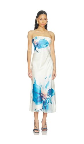 Annabeth Dress in . Size L. Also in M, S, XL, XS - ASTR the Label - Modalova