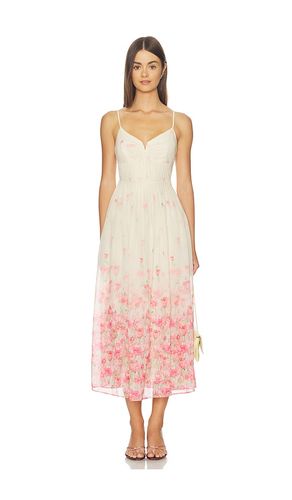 Bellora Dress in . Size L. Also in M, S, XL, XS - ASTR the Label - Modalova