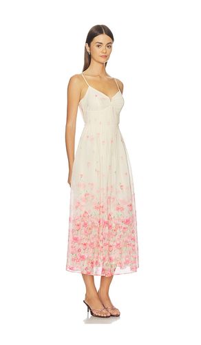 Bellora Dress in . Size L. Also in M, S, XL, XS - ASTR the Label - Modalova