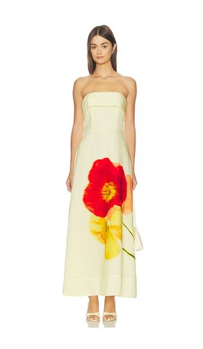 Ximena Dress in . Size L. Also in M, S, XS - ASTR the Label - Modalova