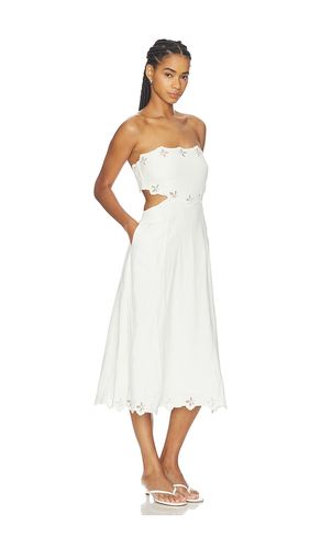 ROBE SHAVONDA en . Taille L. Also en M, XL, XS - ASTR the Label - Modalova