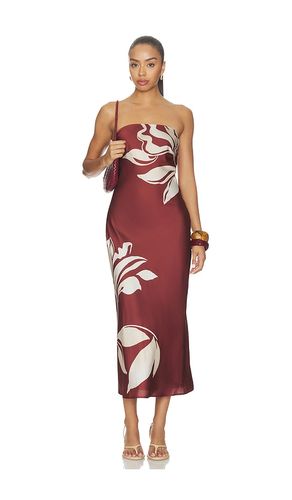 Annabeth Dress in . Size L. Also in M, S, XL, XS - ASTR the Label - Modalova