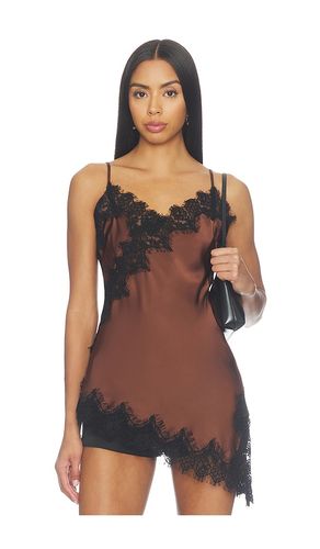 Laura Top en . Taille XS. Also en S, M, L, XL - ASTR the Label - Modalova