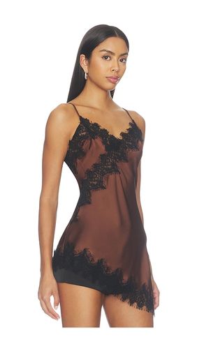 Laura Top en . Taille XS. Also en S, M, L, XL - ASTR the Label - Modalova