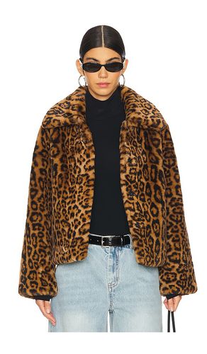 MANTEAU COURT ELIS LEOPARD in . Size M, S, XS - Apparis - Modalova