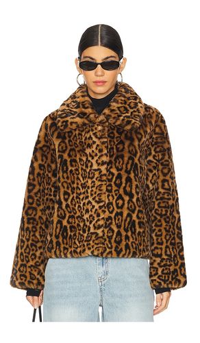 MANTEAU COURT ELIS LEOPARD en . Taille XS. Also en XXS, S, M, L - Apparis - Modalova