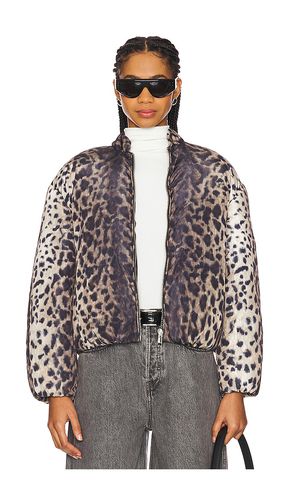 BOMBER REMBOURRÉ LENI LEOPARD in . Size M, S, XS - Apparis - Modalova