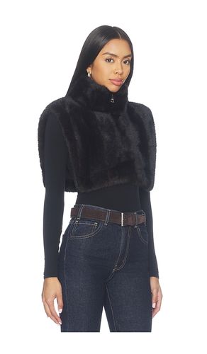 Jamie Faux Mink Dickey en Noir en - Apparis - Modalova