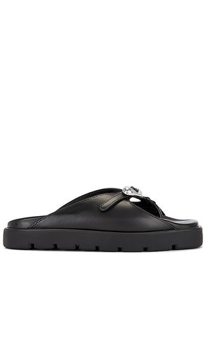 SANDALES DOME in . Size 40.5 - Alexander Wang - Modalova