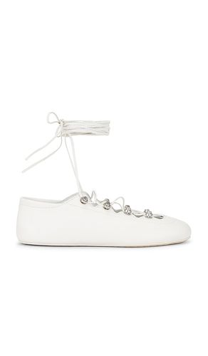 Vyolette Lace Up Flat in . Size 37. Also in 39, 40, 41 - Alexander Wang - Modalova