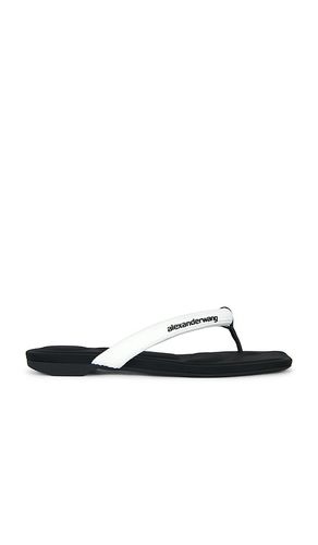 Jenna Tubular Flat Thong Sandal in . Size 35. Also in 36, 41 - Alexander Wang - Modalova