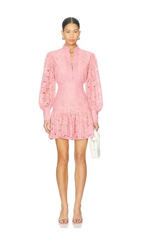 Remy Lace Dress in . Size 10. Also in 12, 2, 4, 6, 8 - Bardot - Modalova