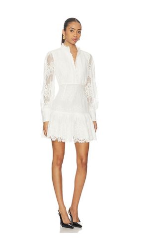 Olessia Lace Mini Dress in . Size 10. Also in 12, 2, 4, 6, 8 - Bardot - Modalova