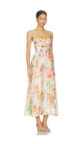 Lola Corset Midi Dress in . Size 10. Also in 12, 2, 4, 6, 8 - Bardot - Modalova