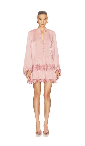 Antonia Lace Trim Mini Dress in . Size 10. Also in 2, 4, 6, 8 - Bardot - Modalova