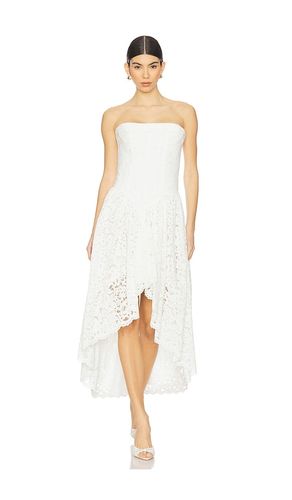 ROBE BUSTIER EN DENTELLE FELICIDAD en . Taille 10. Also en 12, 2, 4, 6, 8 - Bardot - Modalova