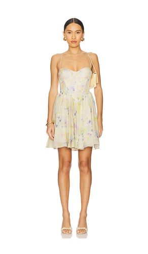 Ashta Corset Mini Dress in . Size 10. Also in 12 - Bardot - Modalova
