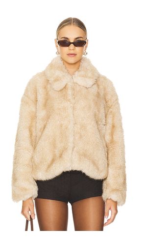 BLOUSON SARISSA in . Size 6, 8 - Bardot - Modalova