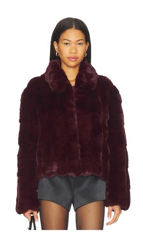 Sylvie Zip Faux Fur Jacket en . Taille 4. Also en 2, 12 - Bardot - Modalova