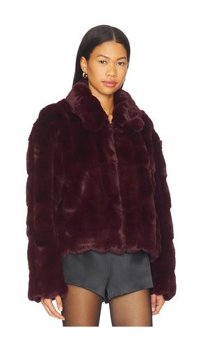 Sylvie Zip Faux Fur Jacket en . Taille 12. Also en - Bardot - Modalova